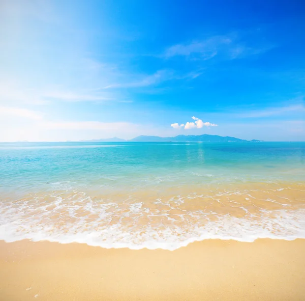 Plaj ve tropikal deniz — Stok fotoğraf