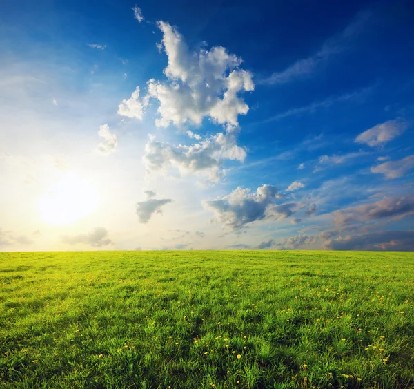 Zonsondergang en groen veld — Stockfoto