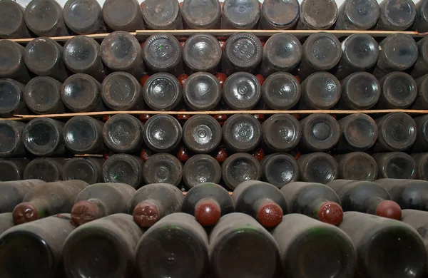 Garrafas de vinho tinto em uma adega — Fotografia de Stock
