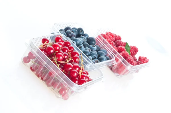 Beautiful berries — Stock Photo, Image