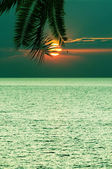 Gyönyörű trópusi naplemente a tengeren