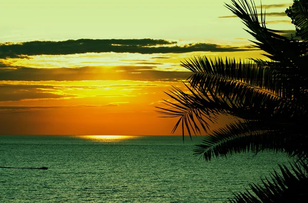 Piękny tropikalny zachód słońca na morzu — Zdjęcie stockowe