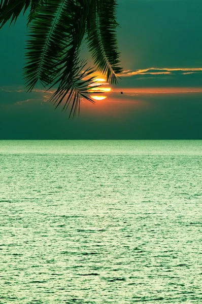 Splendido tramonto tropicale in mare Foto Stock Royalty Free