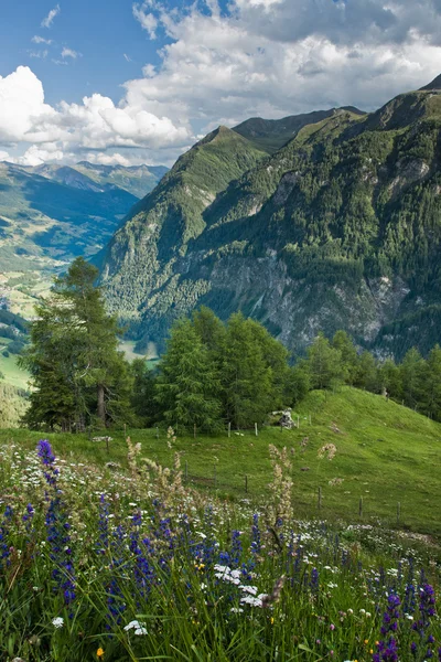 Альп вид з високогірної альпійської дороги регіоні Гроссглокнер — стокове фото