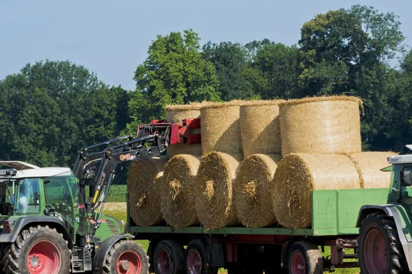 Stock image Harvesting hay with tracktor