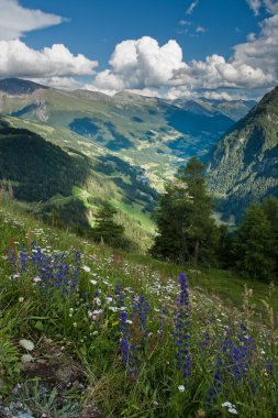 grossglockner yüksek dağ yolu Alpler manzarası