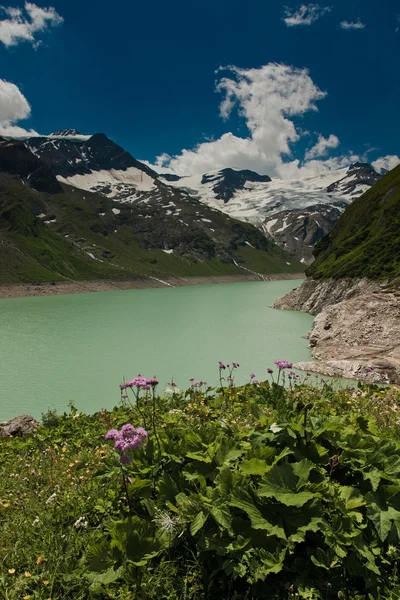 Kaprun terület, a tó, a virágok és a Alpok — Stock Fotó