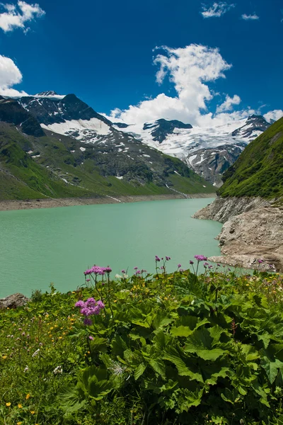 Kaprun oblast, jezero, květiny a Alpy — Stock fotografie