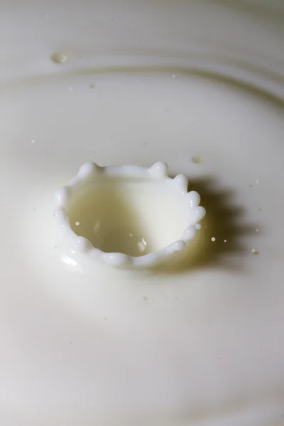 Liquid milk drop falling — Stock Photo, Image