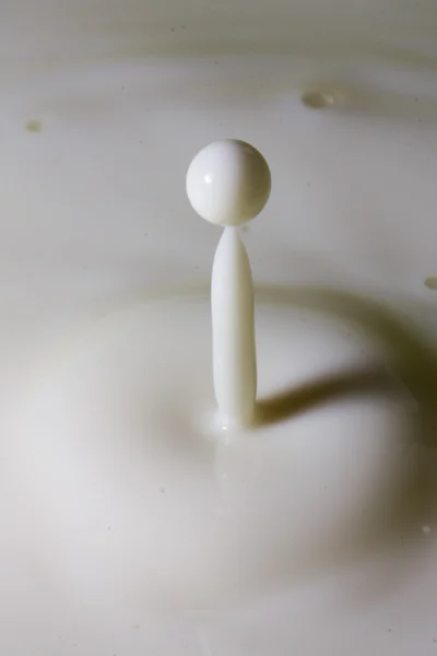 Queda da gota de leite líquido — Fotografia de Stock