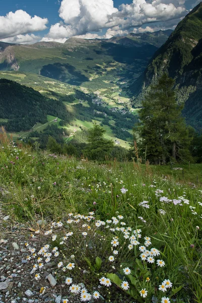 阿尔卑斯山查看从大格洛克纳山高高山道路 — 图库照片