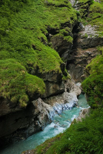 Canyon con fiume verde — Foto Stock