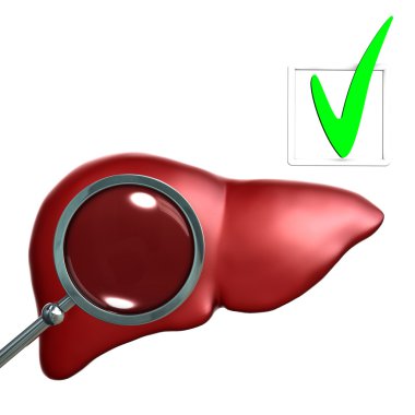 Testing Red Human liver with magniglass clipart