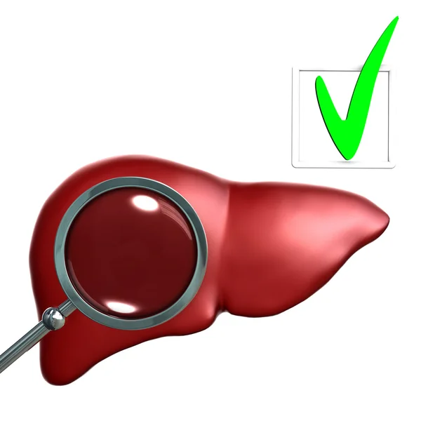 Badania czerwony ludzkiej wątroby z magniglass — Zdjęcie stockowe