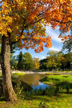 Kadriorg park. Tallinn, Estonya