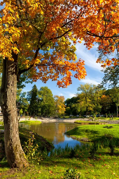 stock image Kadriorg Park. Tallinn, Estonia