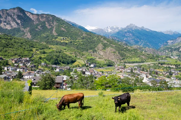Долина Аоста. Италия — стоковое фото