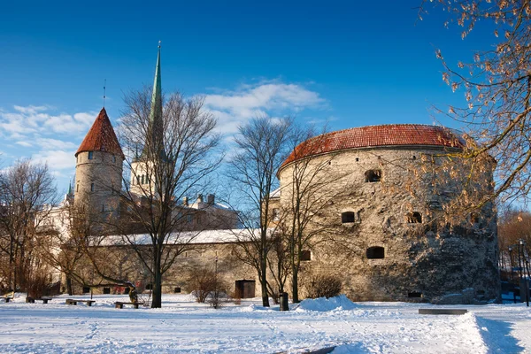 El casco antiguo. Tallin, Estonia — Foto de Stock