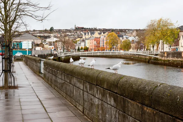 Miasta Cork. Irlandia — Zdjęcie stockowe