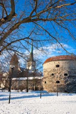 Tallinn Estonya