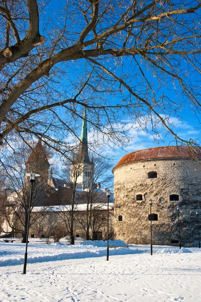 Tallinn Estonia — Foto Stock