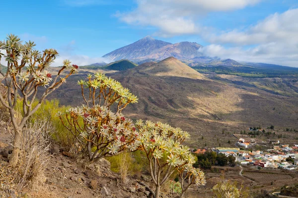 Nézetben a Tenerife. Kanári-szigetek — Stock Fotó