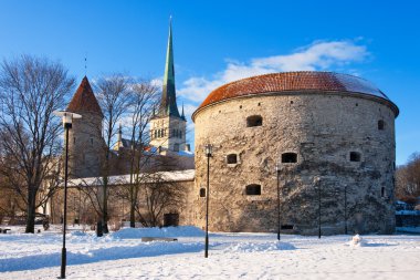 Tallinn - capital of Estonia clipart