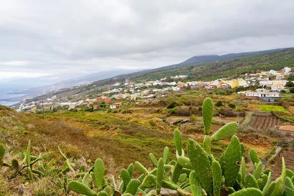 Teneriffa. Kanarieöarna — Stockfoto