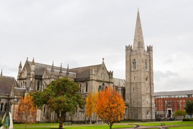 St. patrick Katedrali. Dublin, İrlanda