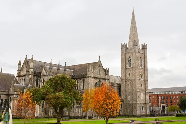 St patrick's cathedral. Dublin, Irland — Stockfoto