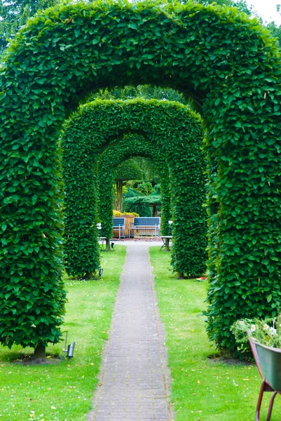 Yew topiary — Stockfoto