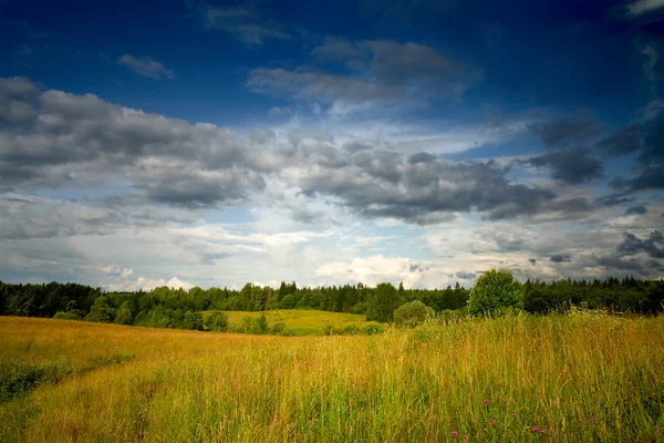 Zelená louka pod dramatická obloha krajina — Stock fotografie
