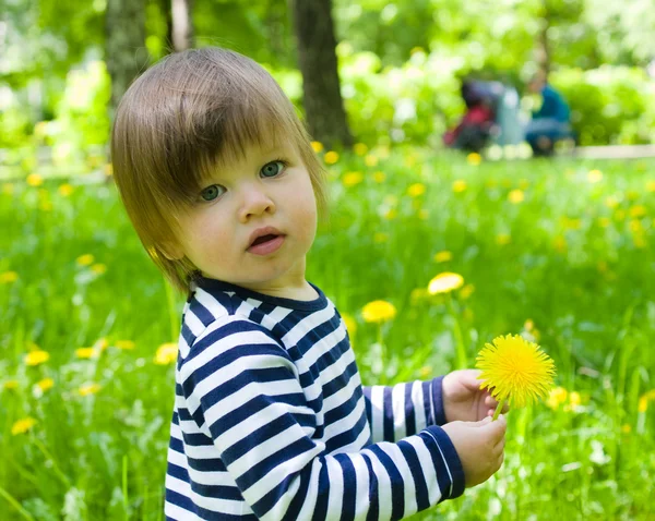 Toddler girl holding yellow flower dandelions — Stock Photo, Image