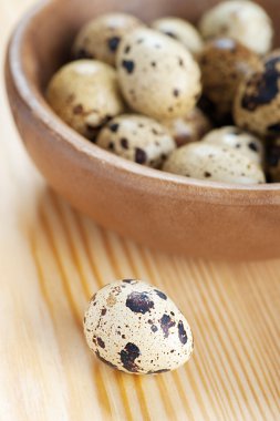 Quail eggs clipart