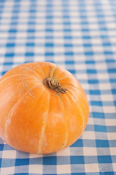 Pomarańczowe dynie — Zdjęcie stockowe