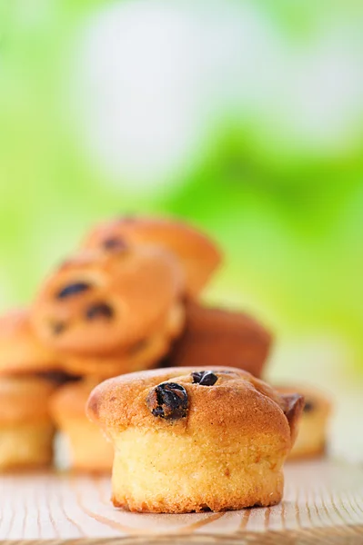 Cupcake aux raisins secs — Photo