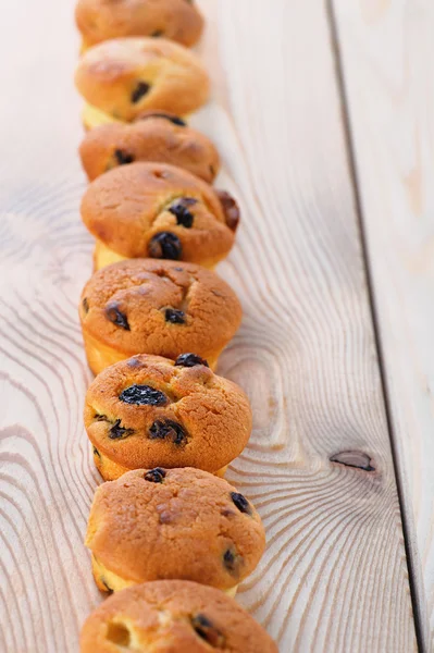 Cupcake with raisins — Stock Photo, Image