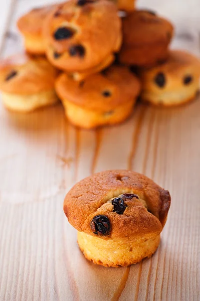 Cupcake aux raisins secs — Photo