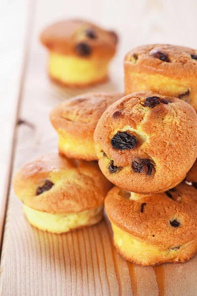 Cupcake with raisins — Stock Photo, Image