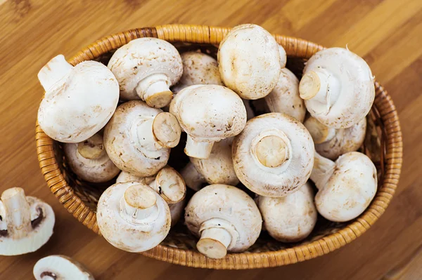 Champignon mushrooms — Stock Photo, Image