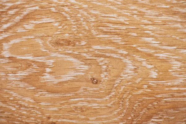 Pine tree vägg — Stockfoto