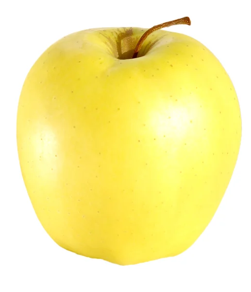 Зрелое жёлтое яблоко — стоковое фото