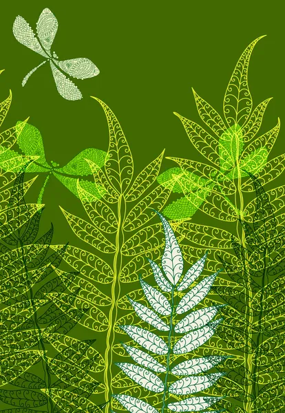 卡与蕨类植物和蜻蜓 — 图库矢量图片