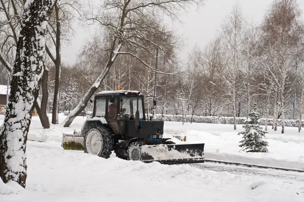 Remoção de neve pequeno trator no parque — Fotografia de Stock