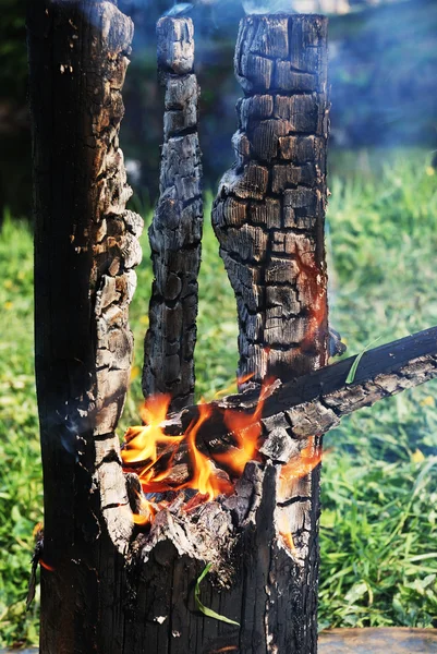 Υποβόσκει κορμό δέντρου που καίγονται στη μέση — Φωτογραφία Αρχείου