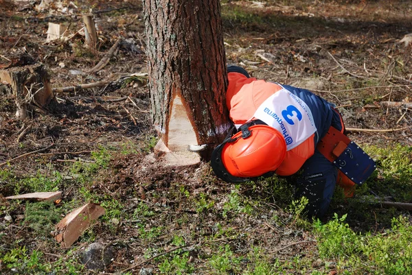 Contest of professional wood fellers Woodcutter - 2007 — Foto Stock