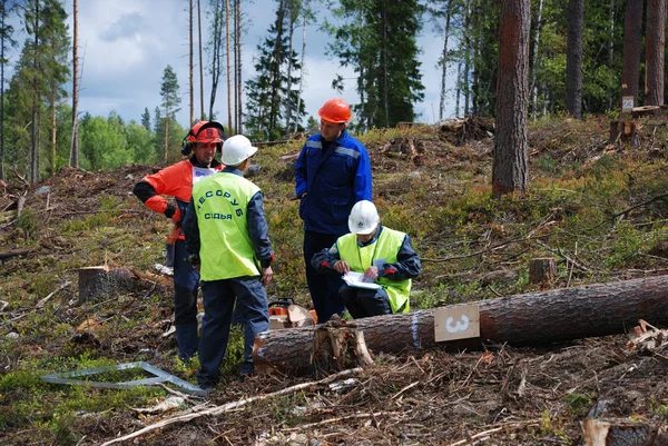 Wettbewerb der professionellen Holzfäller - 2007 — Stockfoto