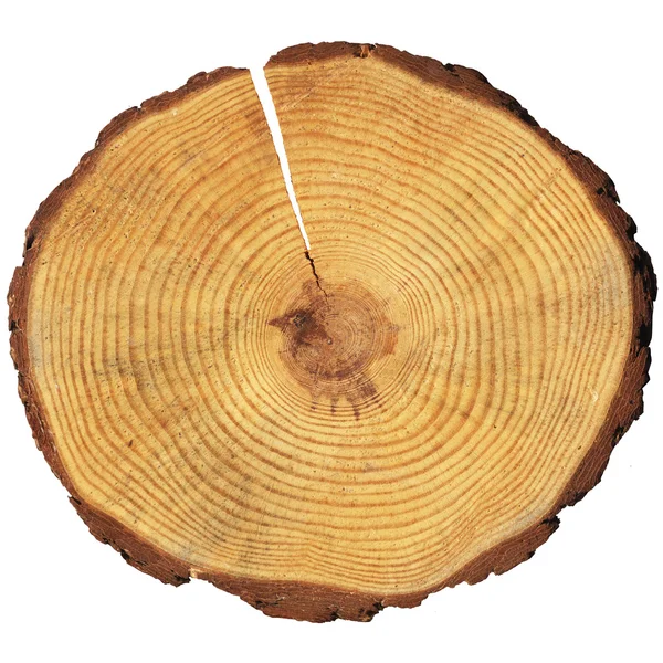 Деревянный круг — стоковое фото