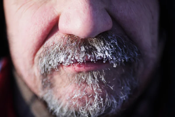 Barba cinzenta congelada e bigode — Fotografia de Stock