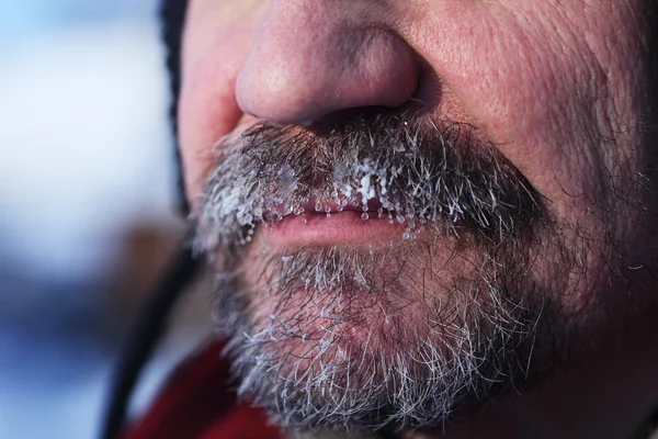 Frozen gray beard and mustache — Stock Photo, Image